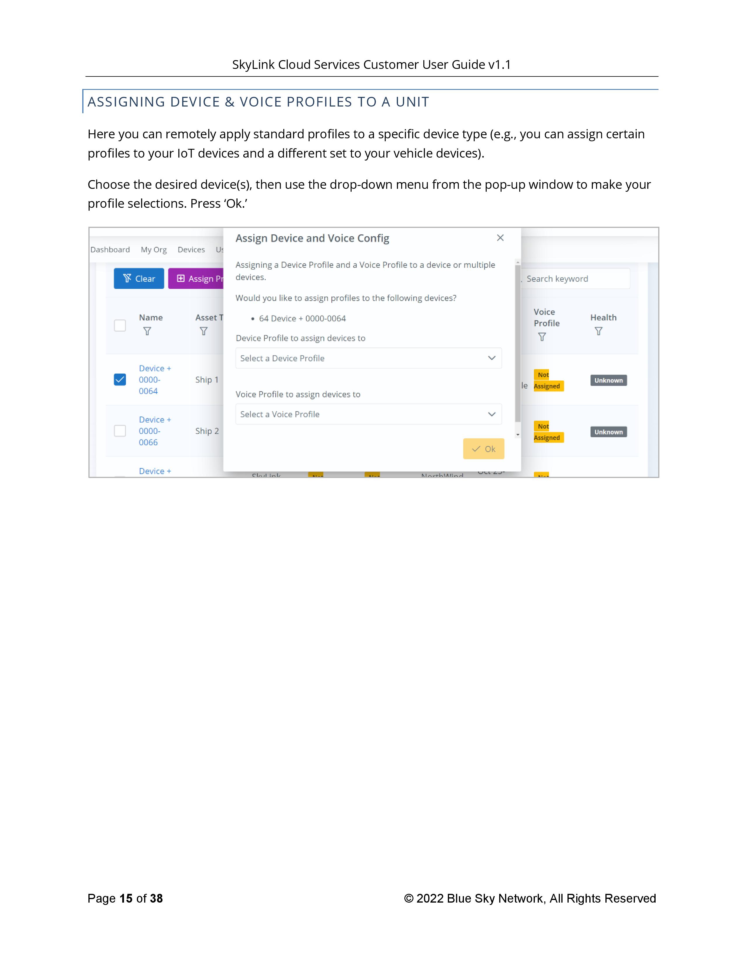 SkyLink-Cloud-Services-Customer-User-Guide-page-015.jpg