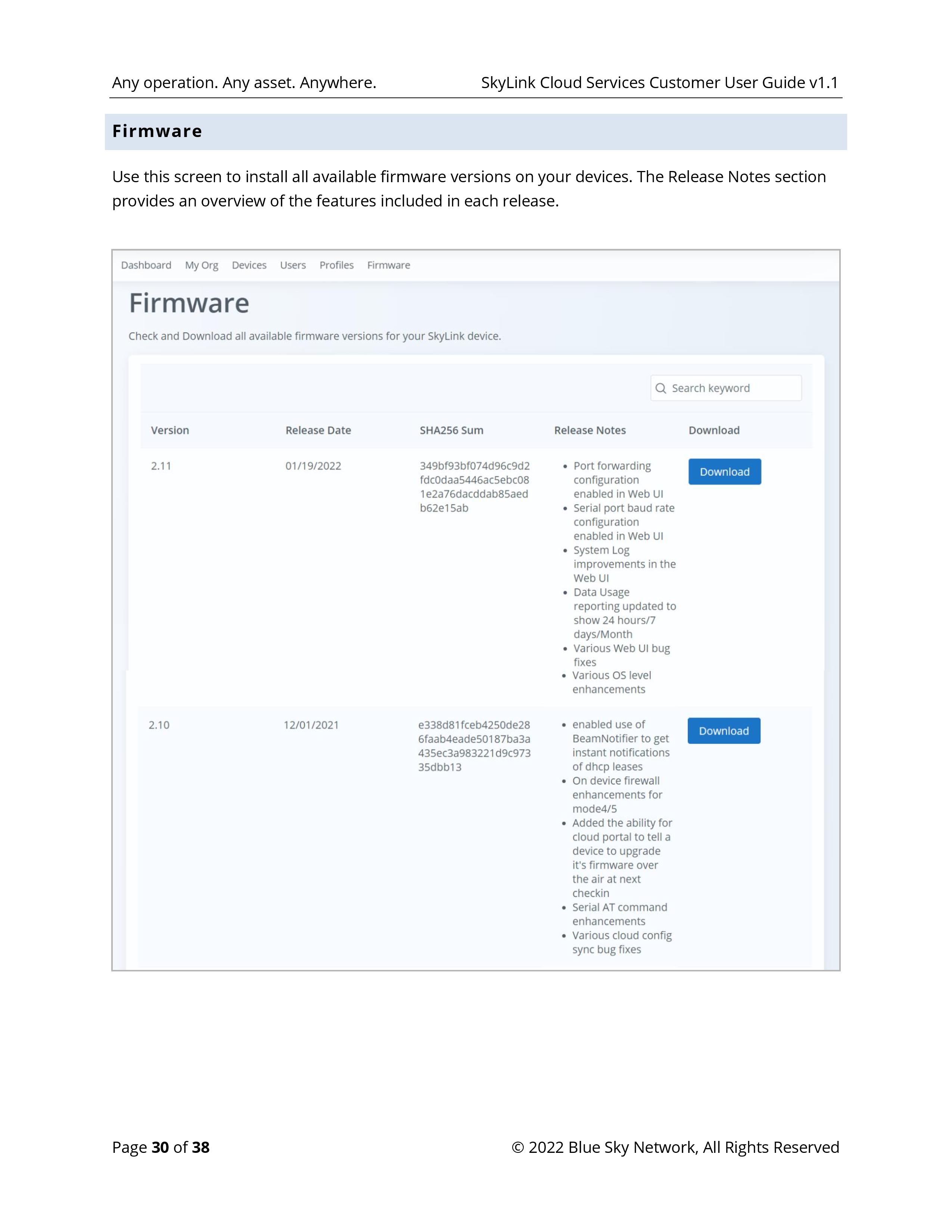 SkyLink-Cloud-Services-Customer-User-Guide-page-030.jpg